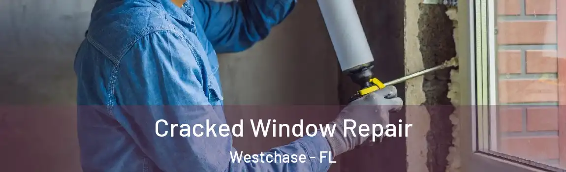  Cracked Window Repair Westchase - FL