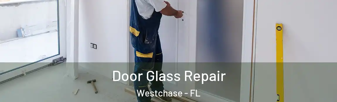 Door Glass Repair Westchase - FL