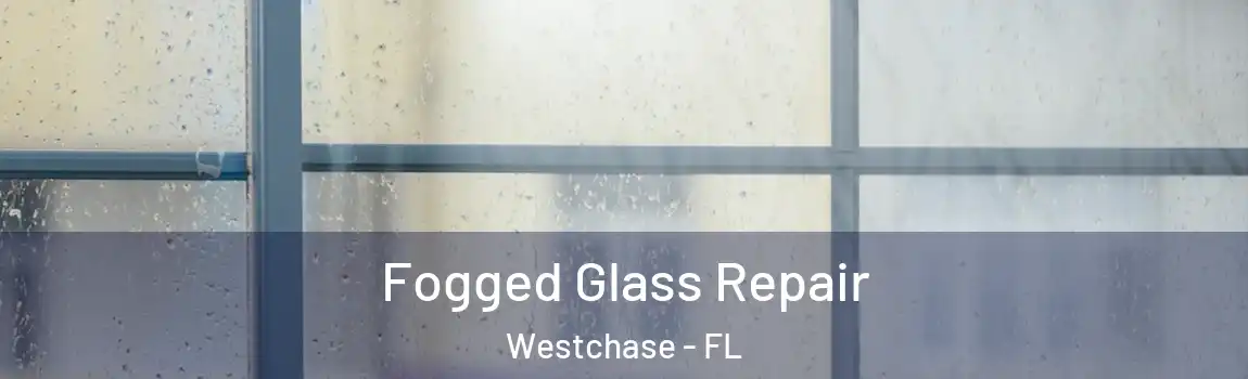  Fogged Glass Repair Westchase - FL