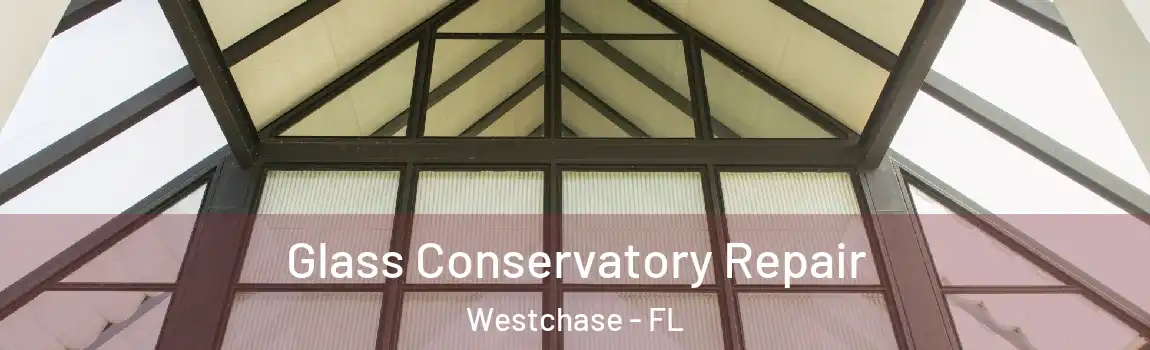  Glass Conservatory Repair Westchase - FL
