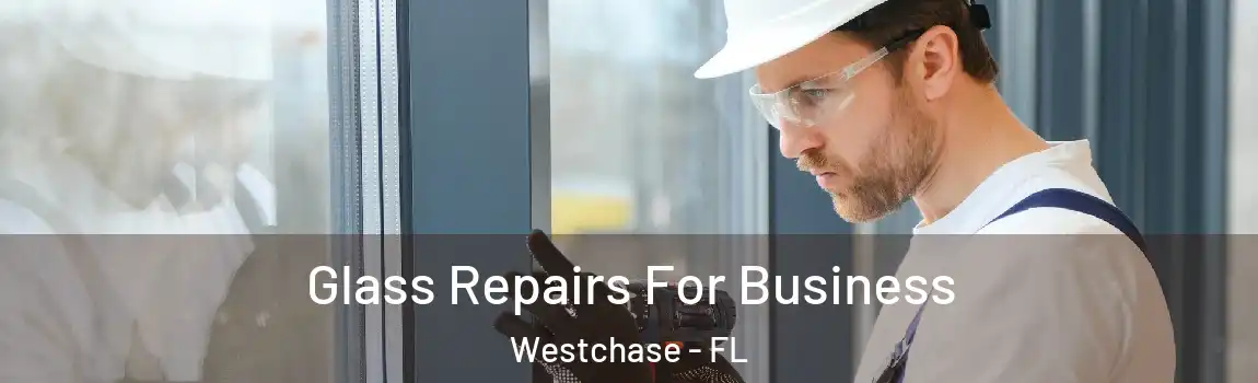  Glass Repairs For Business Westchase - FL