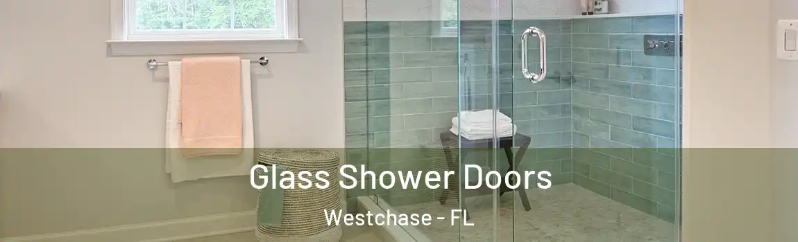 Glass Shower Doors Westchase - FL