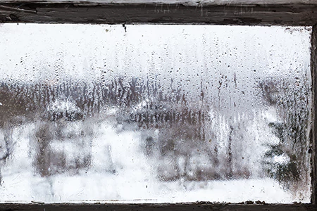 Defogging Double Pane Windows in Westchase, FL