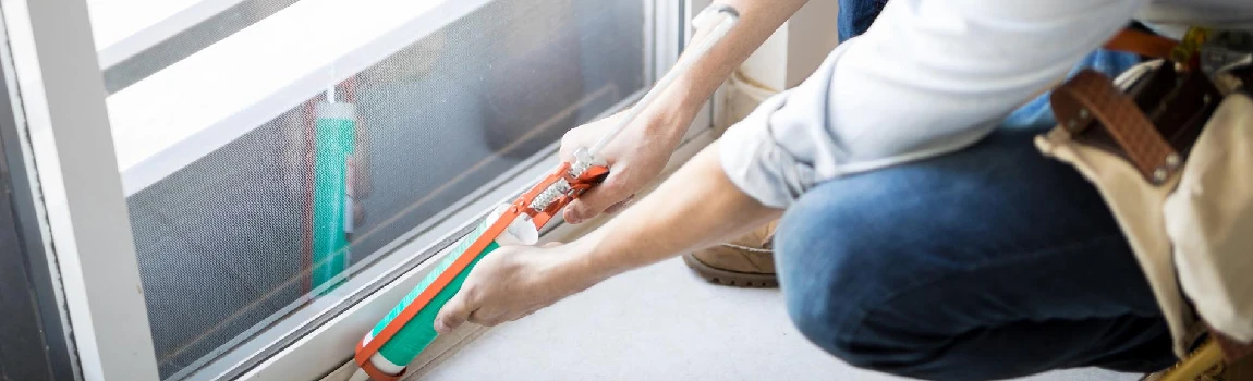 Emergency Window Replacement Services in Westchase, FL