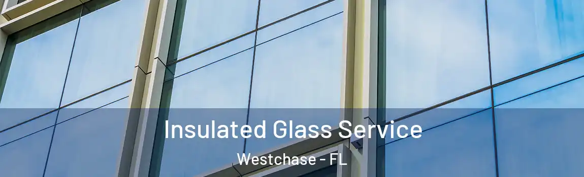  Insulated Glass Service Westchase - FL