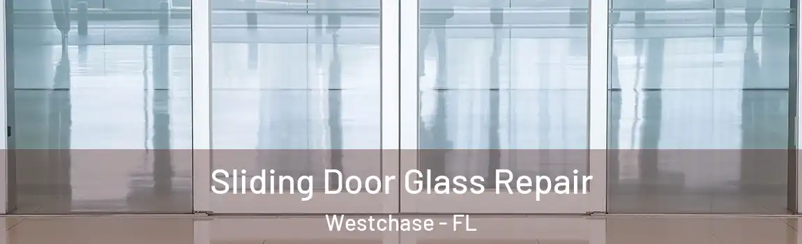 Sliding Door Glass Repair Westchase - FL