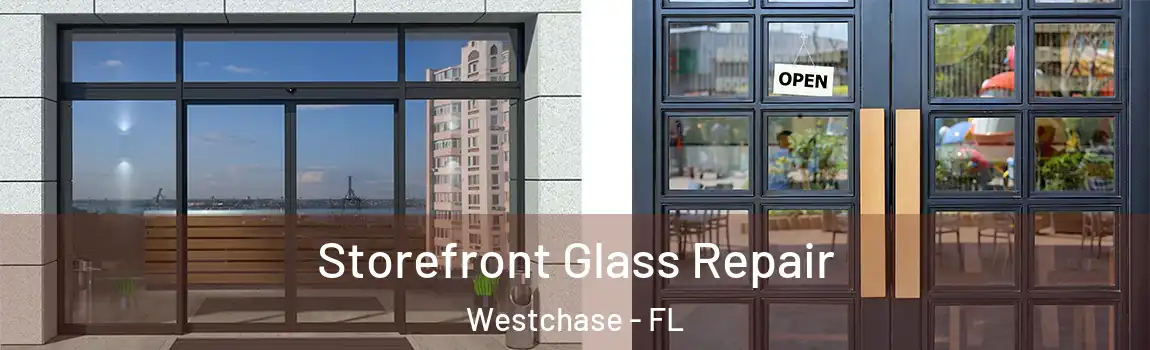  Storefront Glass Repair Westchase - FL