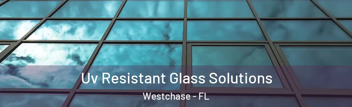 Uv Resistant Glass Solutions Westchase - FL