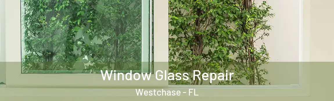 Window Glass Repair Westchase - FL