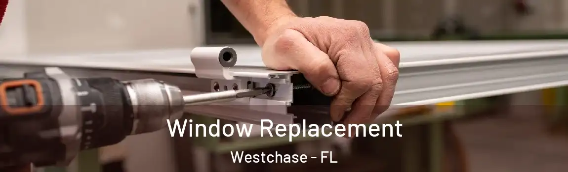  Window Replacement Westchase - FL