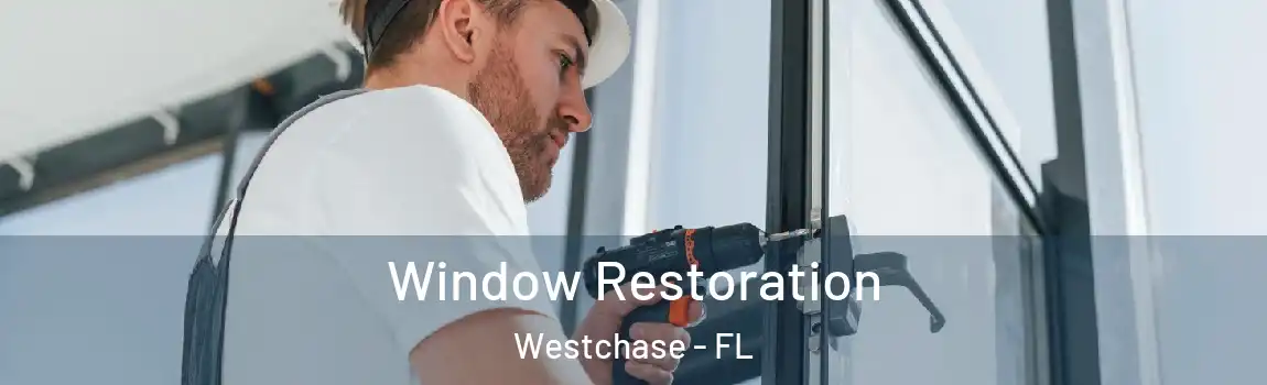 Window Restoration Westchase - FL